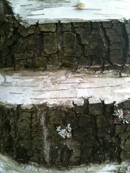 usinage naturel. (photo)