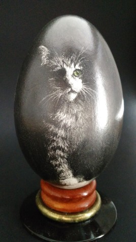 La nuit tous les chats sont gris