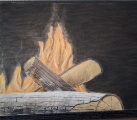 Feu de bois