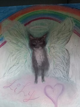 ma lily ail&eacute;e