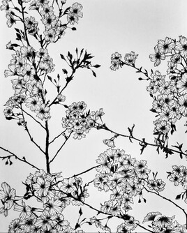 V&eacute;g&eacute;tale 2