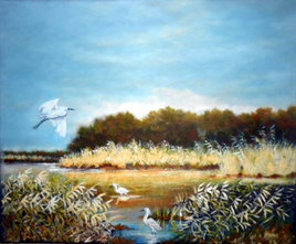 Coucher de soleil sur les marais avec une envolée de canard