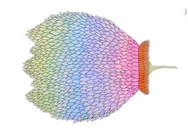 Fleur color&eacute;e