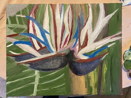 Les oiseaux de paradis