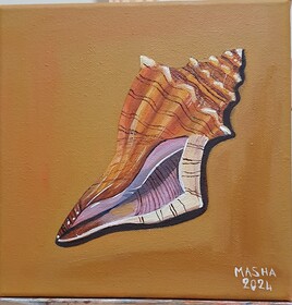 &Eacute;t&eacute;: Coquillage