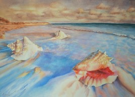 Sea shells