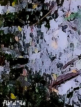 EMPORT&Eacute; PAR  LA  FOULE