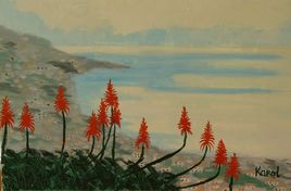 Paysage de Mad&egrave;re