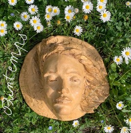 Printemps…pâquerettes du jardin Printemps…pâquerettes du jardin