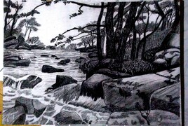 Harmonie de la nature