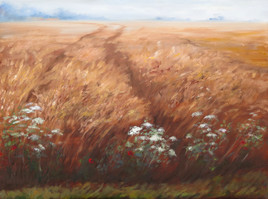 Bl&eacute; m&ugrave;r