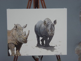 rhinoceros au repos