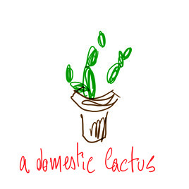 a domestic cactus