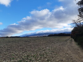Le plateau des Clapar&egrave;des (Apt)