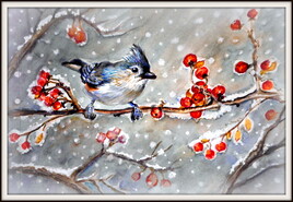 M&eacute;sange bicolore sous la neige