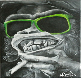 Primate & orthodontie