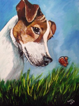 Jack Russell le curieux