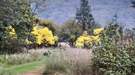 première image de saison