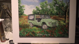 citroen mehari verte