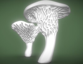 sculpture naturaliste champignons Favolus tenuiculus