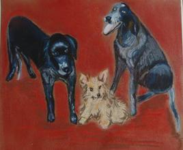 les trois chiens "boubou" Titoo, Baloo, Bijou