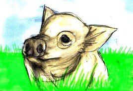 un cochon nommé babe