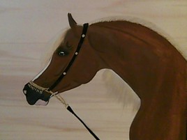 cheval arabe
