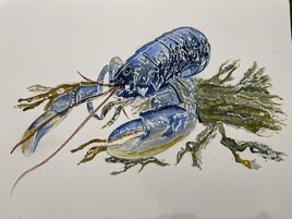 HOMARD BLEU