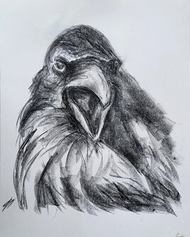 corbeau