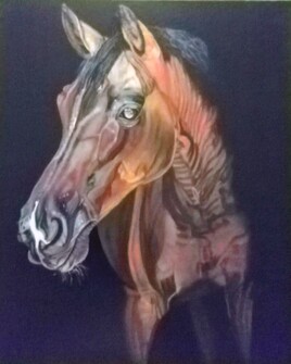 "C'est pas la mauvaise cheval"