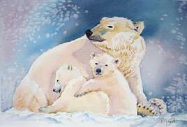 Ours et oursons polaire