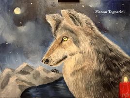 Full moon wolf