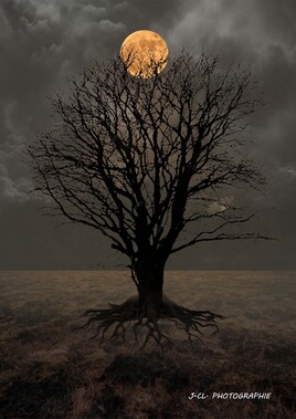 COMPOSOTION... COMPOSOTION...