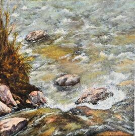 Cailloux dans un torrent de montagne