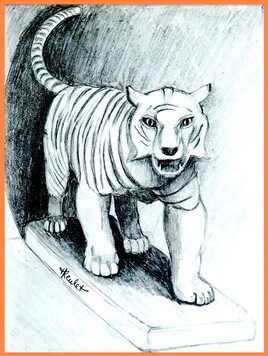 Dessin Tigre chassant (Panthera tigris) / Drawing A hunting tiger : face