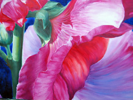 Rose tr&eacute;mi&egrave;re  ; d&eacute;tail