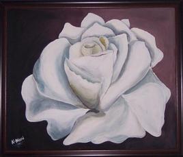 Rose blance