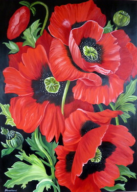 Bouquet de coquelicots