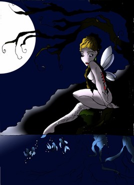 fairy by night