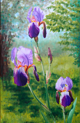 Trois Iris " Lumières du jardin "