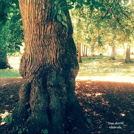 LA M&Eacute;LOP&Eacute;E D'UN CENTENAIRE.