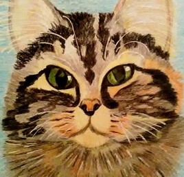 Portrait de Cookie le chat