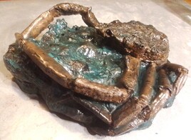 Araign&eacute;e de mer &agrave; fleur d'eau