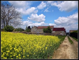 Chemin de la ferme à Gometz le Chatel  (photo perso)