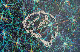 Esos cerebros tan complicados