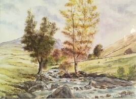 Sur les bords du torrent