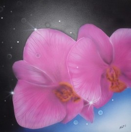 orchid&eacute;es rose