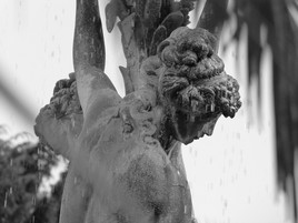 La pensee de la femme