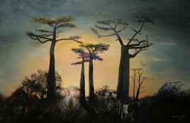 Allée des baobabs à Madagascar -2014