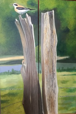 piquets de cloture diptique